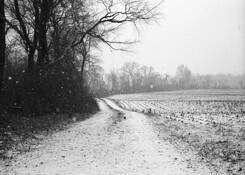 Snowy_day