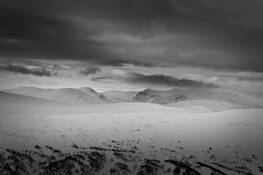 Walk_in_white
