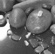 Wet_rocks