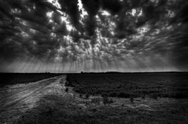 Majesty_of_farming