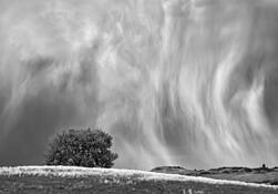 Untitled_1