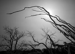 Untitled_10