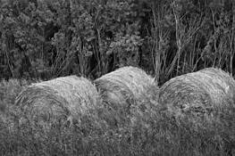 Untitled_2