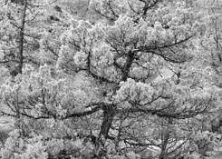 Untitled_3