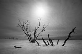 Untitled_4
