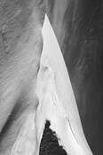 Untitled_8