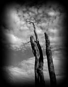Cloud_scratcher