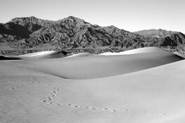 Dunes
