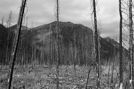 Kootenay_provincial_park