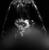 Dream_i