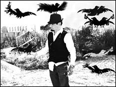 Crowed_out