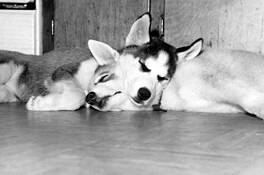 Sharing