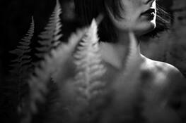 In_ferns