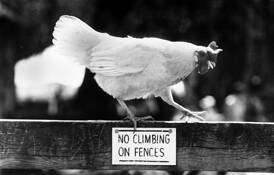Taking_risks