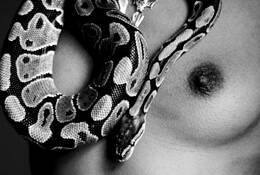 Untitled_8