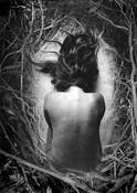 Untitled_1