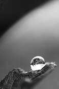 Rain_drop
