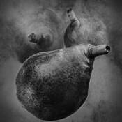 Three_red_pears