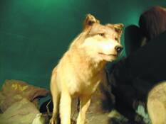 Untitled_102