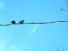 Untitled_47