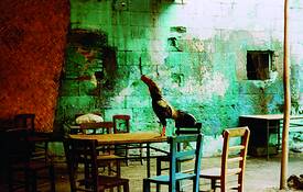 Chai_time