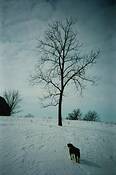 Leaving_home