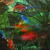 Aquarium_series_no__10