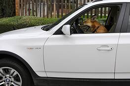 Road_rage
