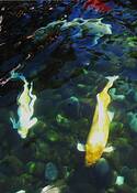 3_koi
