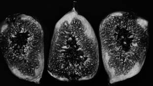 Figs