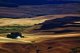 Detail_1_from_steptoe_butte