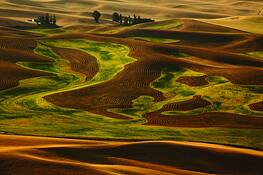 Detail_2_from_steptoe_butte
