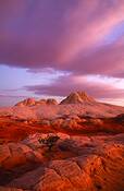 Whitepocket_1