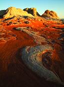 Whitepocket_4