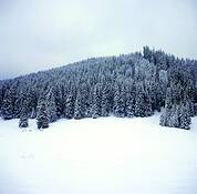 Tatras_1