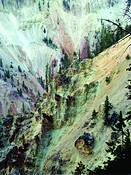 Yellowstone_135