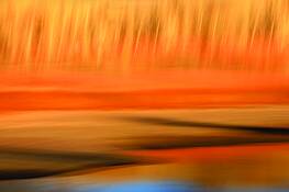Fall_along_the_animas