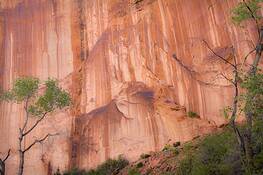 Canyon_wall