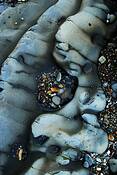 Seashore_01
