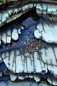 Seashore_05