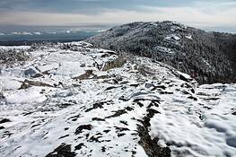 Jay_summit