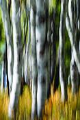 Untitled_4