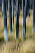 Untitled_5