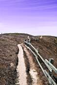 Path