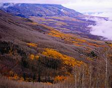 Hillside___color