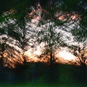 Fence_line