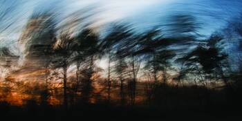 Laurel_sunrise_2