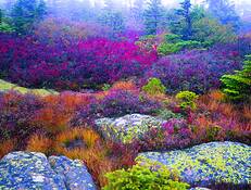 Cadillac_mountain