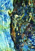 Old_wood_2