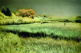 The_creek